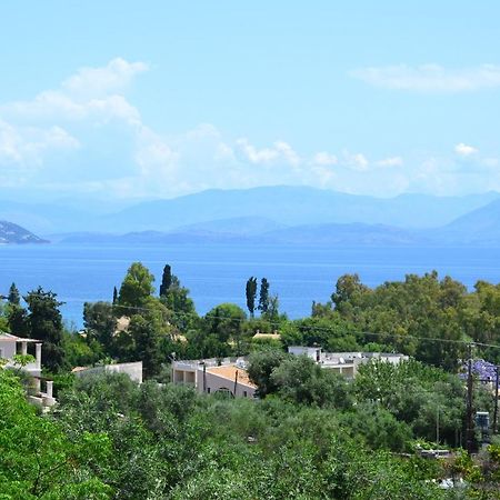 Dassiaholidayclub Dış mekan fotoğraf
